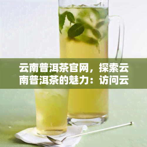 云南普洱茶官网，探索云南普洱茶的魅力：访问云南普洱茶官网