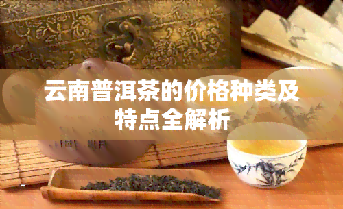 云南普洱茶的价格种类及特点全解析