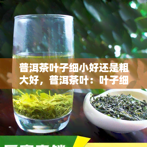 普洱茶叶子细小好还是粗大好，普洱茶叶：叶子细小好还是粗大好？