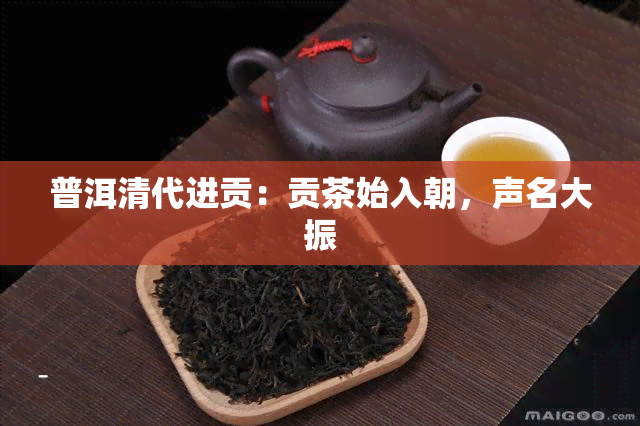 普洱清代进贡：贡茶始入朝，声名大振