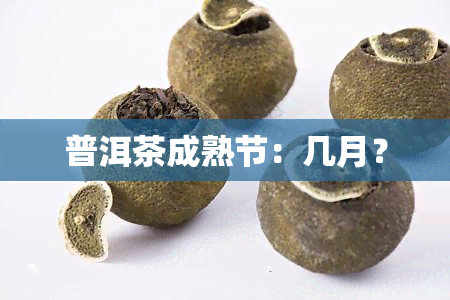 普洱茶成熟节：几月？