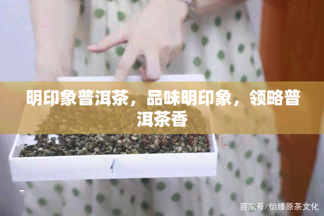 明印象普洱茶，品味明印象，领略普洱茶香