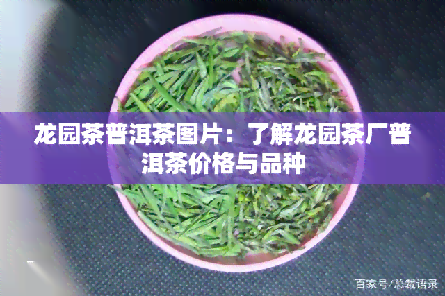 龙园茶普洱茶图片：了解龙园茶厂普洱茶价格与品种