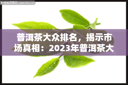 普洱茶大众排名，揭示市场真相：2023年普洱茶大众排行榜