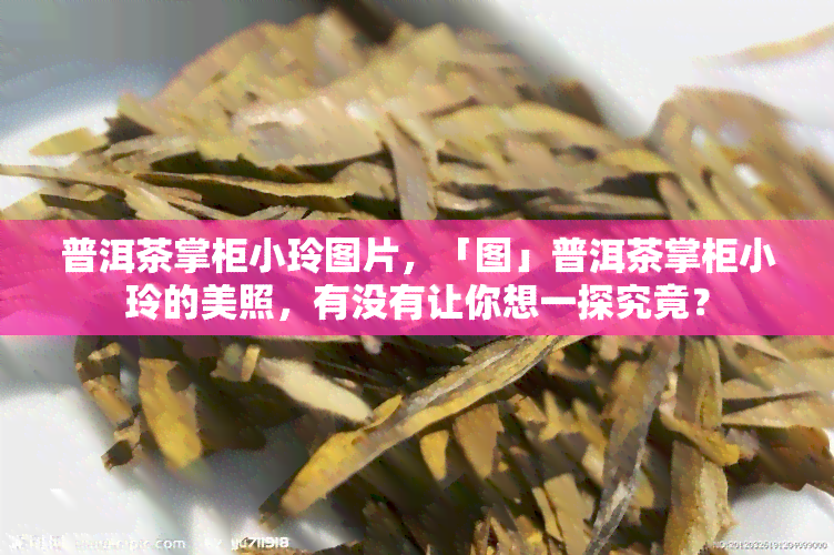 普洱茶掌柜小玲图片，「图」普洱茶掌柜小玲的美照，有没有让你想一探究竟？