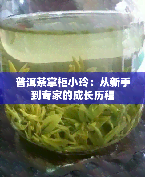 普洱茶掌柜小玲：从新手到专家的成长历程