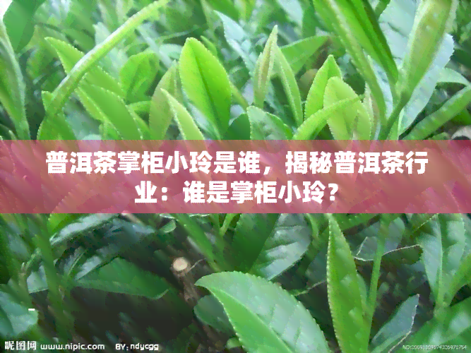 普洱茶掌柜小玲是谁，揭秘普洱茶行业：谁是掌柜小玲？