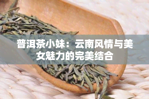 普洱茶小妹：云南风情与美女魅力的完美结合