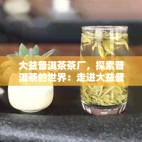 大益普洱茶茶厂，探索普洱茶的世界：走进大益普洱茶茶厂