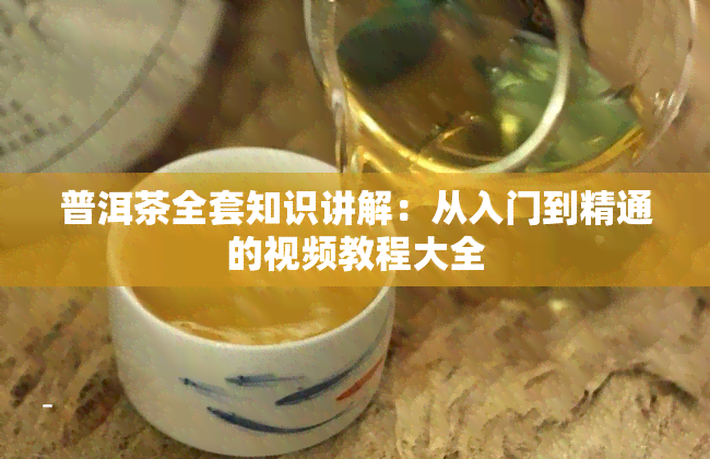 普洱茶全套知识讲解：从入门到精通的视频教程大全