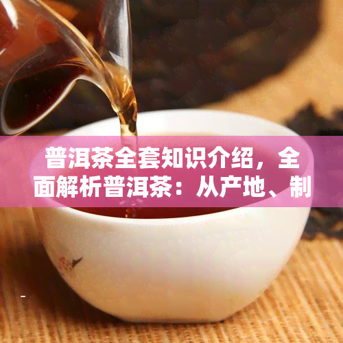 普洱茶全套知识介绍，全面解析普洱茶：从产地、制作到品鉴的全套知识介绍