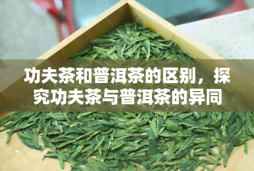 功夫茶和普洱茶的区别，探究功夫茶与普洱茶的异同：从口感、产地到冲泡方式的全面比较