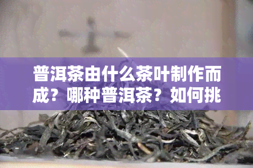 普洱茶由什么茶叶制作而成？哪种普洱茶？如何挑选好喝的普洱茶？