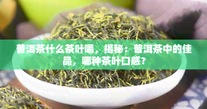 普洱茶什么茶叶喝，揭秘：普洱茶中的佳品，哪种茶叶口感？