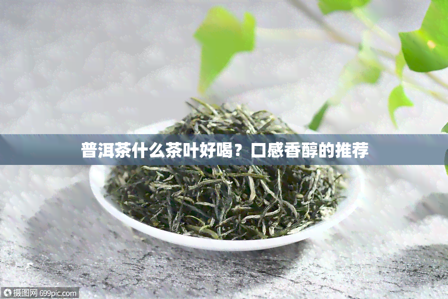 普洱茶什么茶叶好喝？口感香醇的推荐