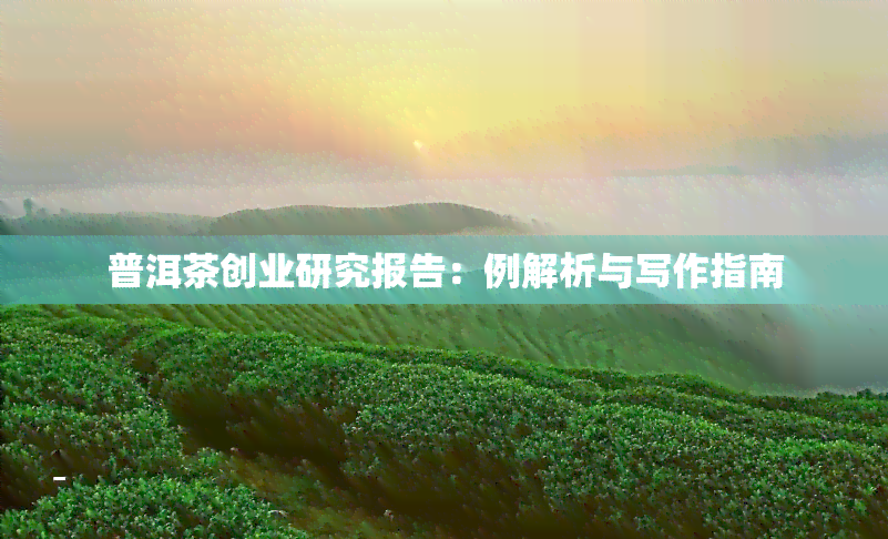 普洱茶创业研究报告：例解析与写作指南