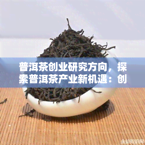 普洱茶创业研究方向，探索普洱茶产业新机遇：创业研究方向解析