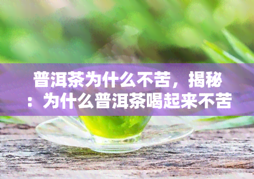 普洱茶为什么不苦，揭秘：为什么普洱茶喝起来不苦？