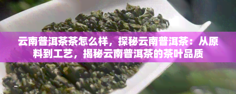 云南普洱茶茶怎么样，探秘云南普洱茶：从原料到工艺，揭秘云南普洱茶的茶叶品质