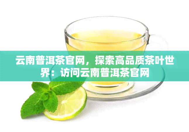 云南普洱茶官网，探索高品质茶叶世界：访问云南普洱茶官网