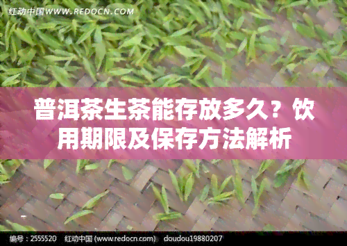 普洱茶生茶能存放多久？饮用期限及保存方法解析