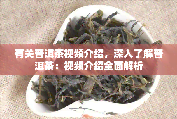 有关普洱茶视频介绍，深入了解普洱茶：视频介绍全面解析