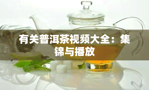 有关普洱茶视频大全：集锦与播放