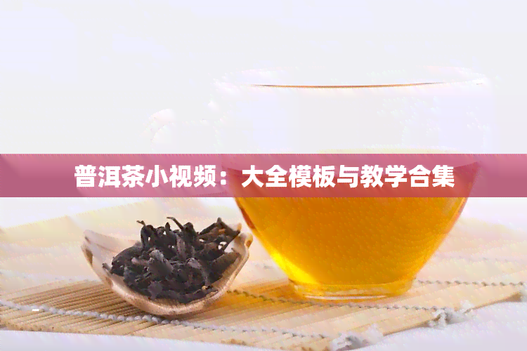 普洱茶小视频：大全模板与教学合集