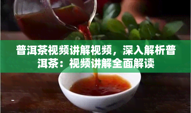 普洱茶视频讲解视频，深入解析普洱茶：视频讲解全面解读