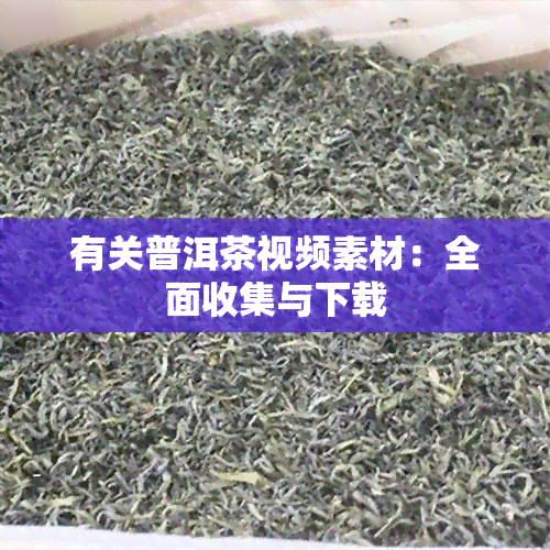 有关普洱茶视频素材：全面收集与下载