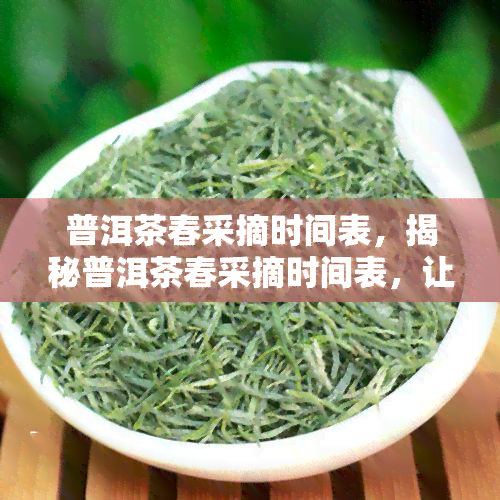 普洱茶春采摘时间表，揭秘普洱茶春采摘时间表，让您品味最新的春茶！