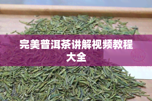 完美普洱茶讲解视频教程大全