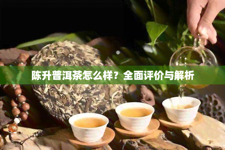 陈升普洱茶怎么样？全面评价与解析