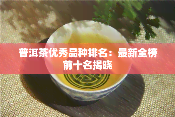 普洱茶优秀品种排名：最新全榜前十名揭晓