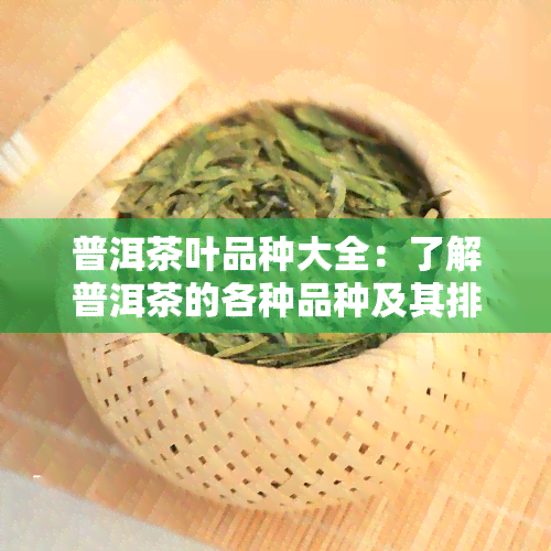 普洱茶叶品种大全：了解普洱茶的各种品种及其排名