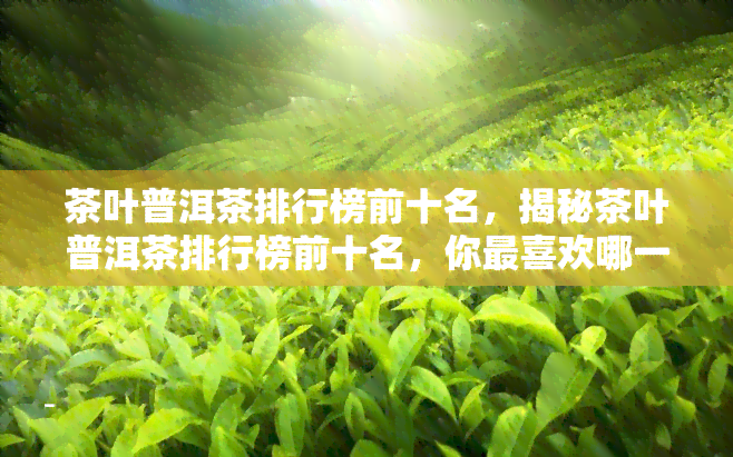 茶叶普洱茶排行榜前十名，揭秘茶叶普洱茶排行榜前十名，你最喜欢哪一款？