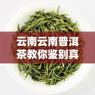 云南云南普洱茶教你鉴别真假，普洱茶鉴别指南：云南普洱茶的真假辨别方法