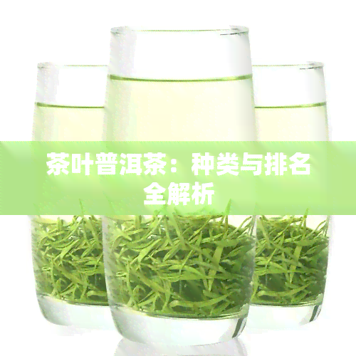 茶叶普洱茶：种类与排名全解析