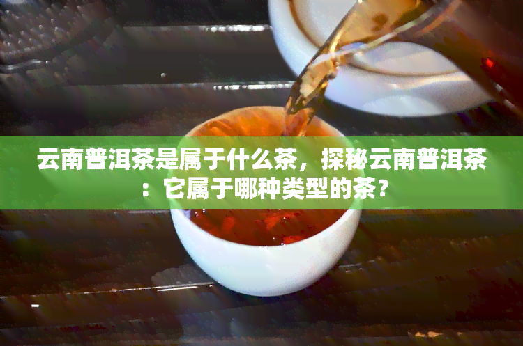 云南普洱茶是属于什么茶，探秘云南普洱茶：它属于哪种类型的茶？