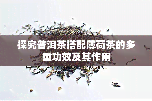 探究普洱茶搭配薄荷茶的多重功效及其作用