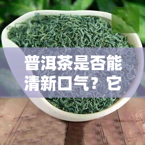 普洱茶是否能清新口气？它的口感是清淡的吗？