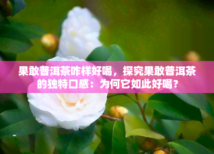 果敢普洱茶咋样好喝，探究果敢普洱茶的独特口感：为何它如此好喝？