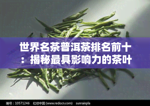 世界名茶普洱茶排名前十：揭秘更具影响力的茶叶