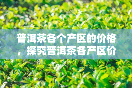 普洱茶各个产区的价格，探究普洱茶各产区价格差异：产地、品质与价值的关系