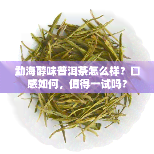 勐海醇味普洱茶怎么样？口感如何，值得一试吗？