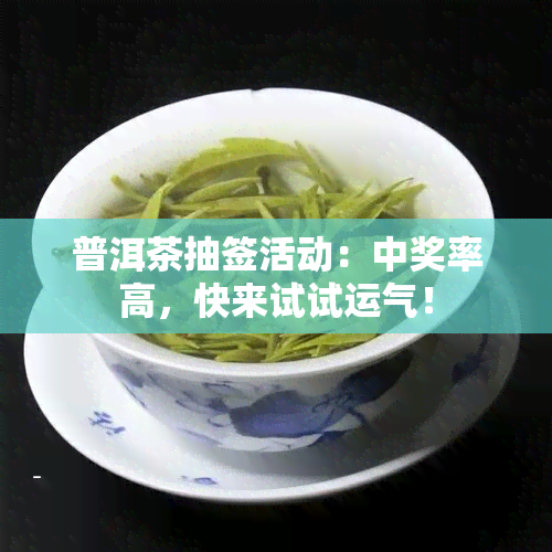 普洱茶抽签活动：中奖率高，快来试试运气！