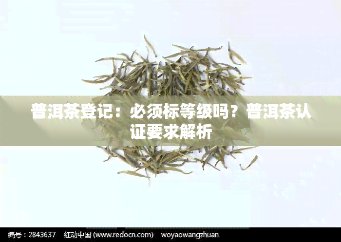 普洱茶登记：必须标等级吗？普洱茶认证要求解析