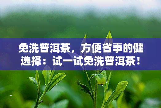 免洗普洱茶，方便省事的健选择：试一试免洗普洱茶！