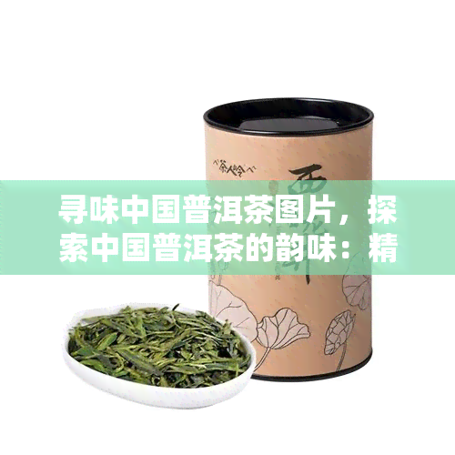 寻味中国普洱茶图片，探索中国普洱茶的韵味：精美图片展示