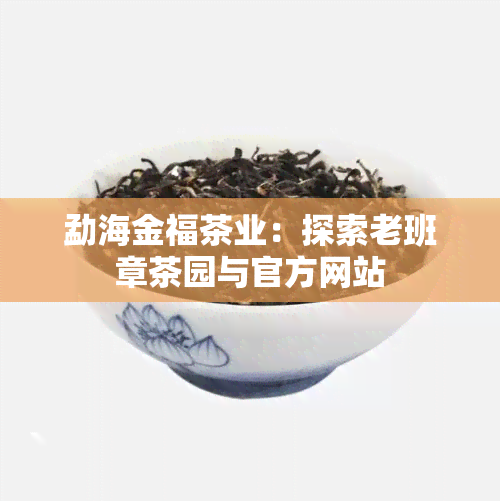 勐海金福茶业：探索老班章茶园与官方网站